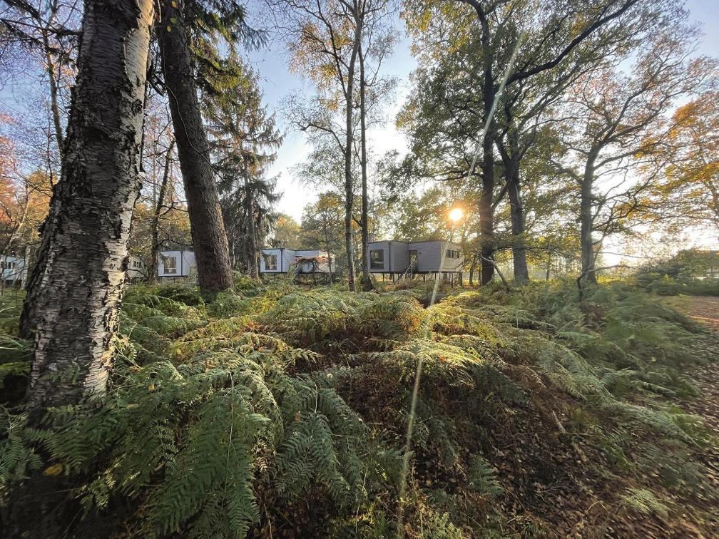 Tierpark Entdeckerhaeuser Wagenfeld Екстериор снимка