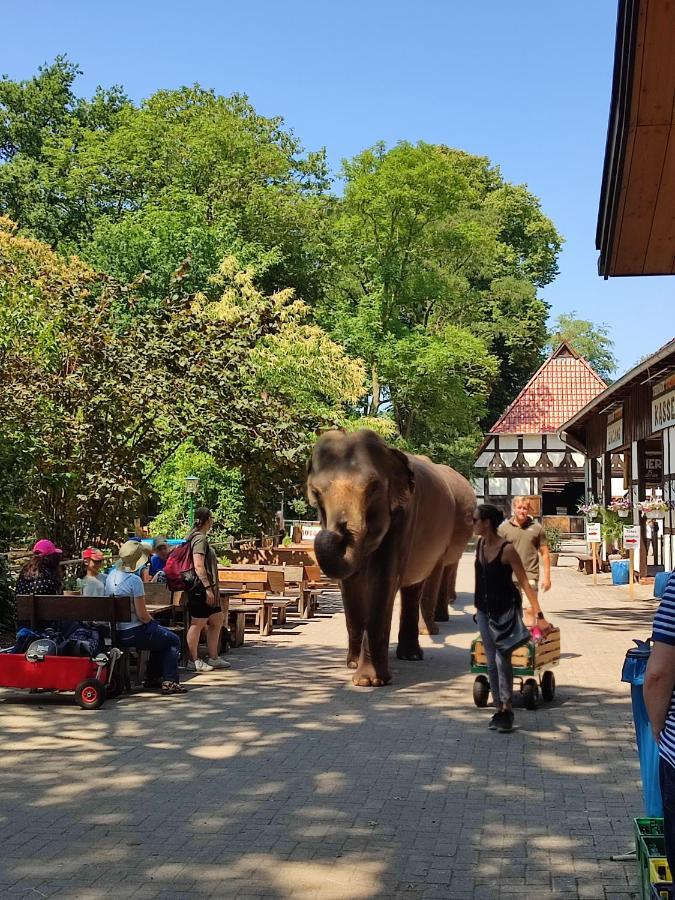 Tierpark Entdeckerhaeuser Wagenfeld Екстериор снимка