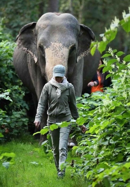 Tierpark Entdeckerhaeuser Wagenfeld Екстериор снимка