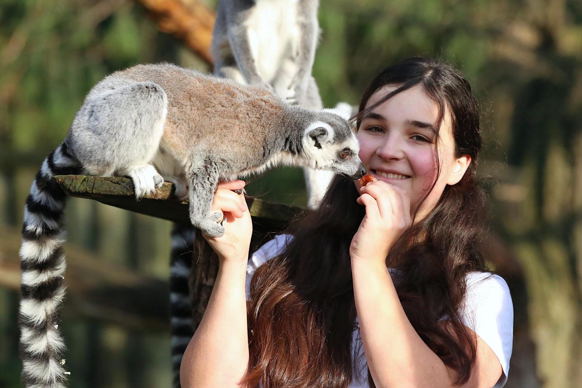 Tierpark Entdeckerhaeuser Wagenfeld Екстериор снимка