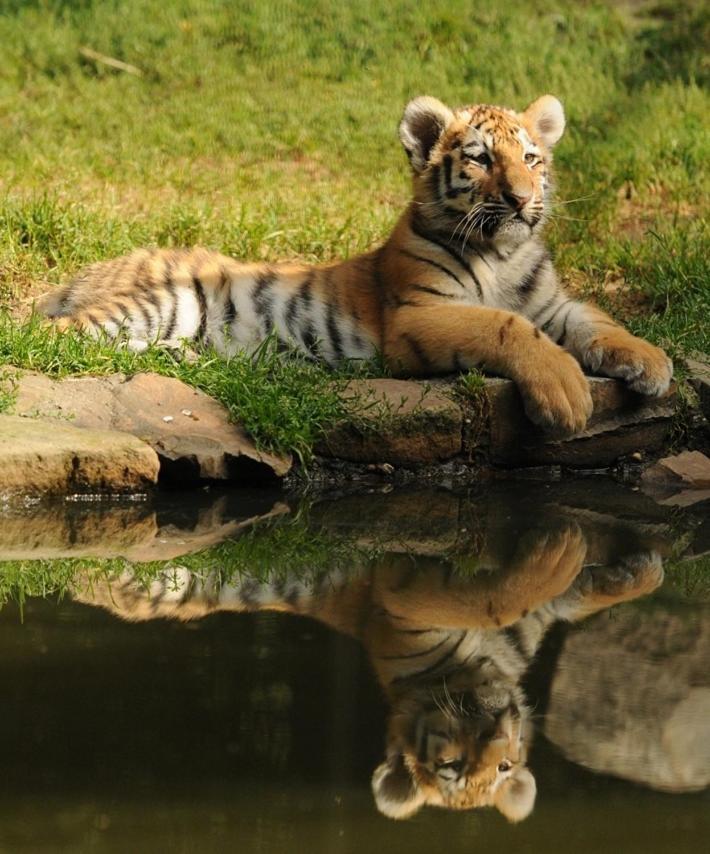 Tierpark Entdeckerhaeuser Wagenfeld Екстериор снимка